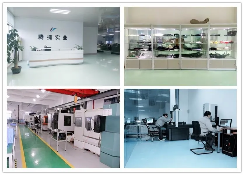 Deep Mould Company View